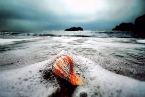 Item #50943708085269539428393455473425554362369750291724012733008559601725376299009 Media