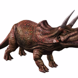 Triceratops