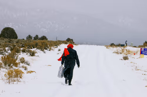 Item #69779279793312991240489662721218422936190169407892673104950858319578846461953 Media