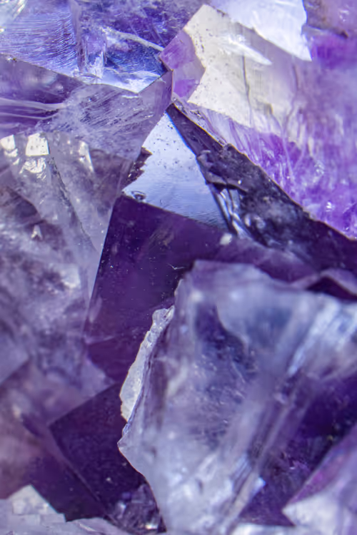 Item #66707676080978551838263520702754250537377931787813102231396956424352091340801 Media