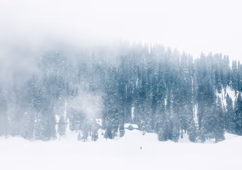 Item #100125324817140700473098673733568876555088890877521994710768706051812049813505 Media