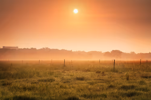 Item #94729080485503513708329965317332491879903775520225674536844109474216210857985 Media