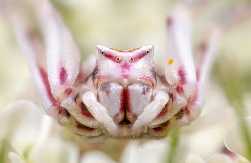 Item #11893448461842202167923125391346137616384292588036434545660885322050796781569 Media