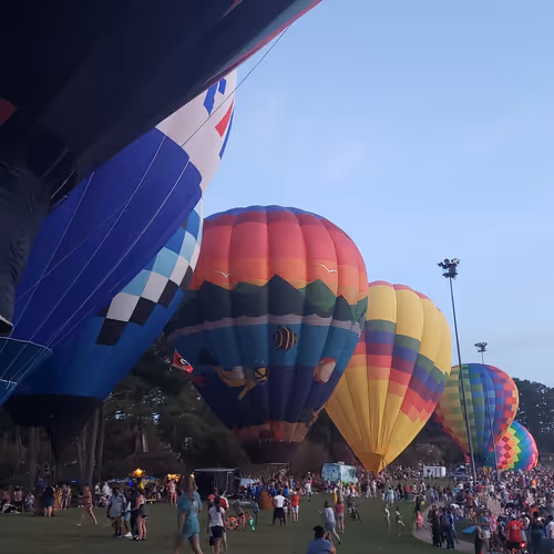 Chiefpreneur Collection