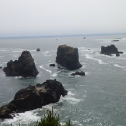 goliaths of the coast 2
