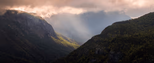 aerowolfe Collection