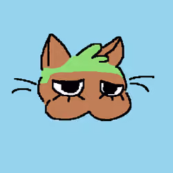 Kat #40
