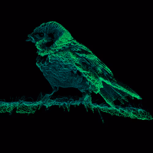 Ethereum Noise Events