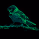 Ethereum Noise Events