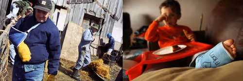 Item #95798395344160826478230491499252628572040143534185362822691349330209479327745 Media