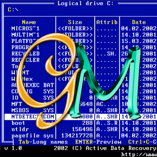 85799622320254933162115753726238912946972704429541097231840036190877617487873