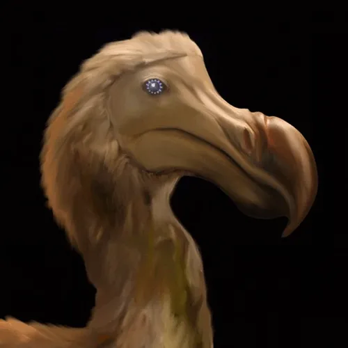 Item #17108990934362620775205753569773425538111388875821677968529043995934515527681 Media