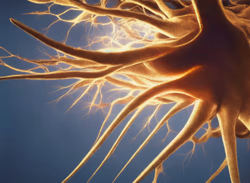 Item #98695163844141812296559601516468632585703412525772017875852753237373135880193 Media