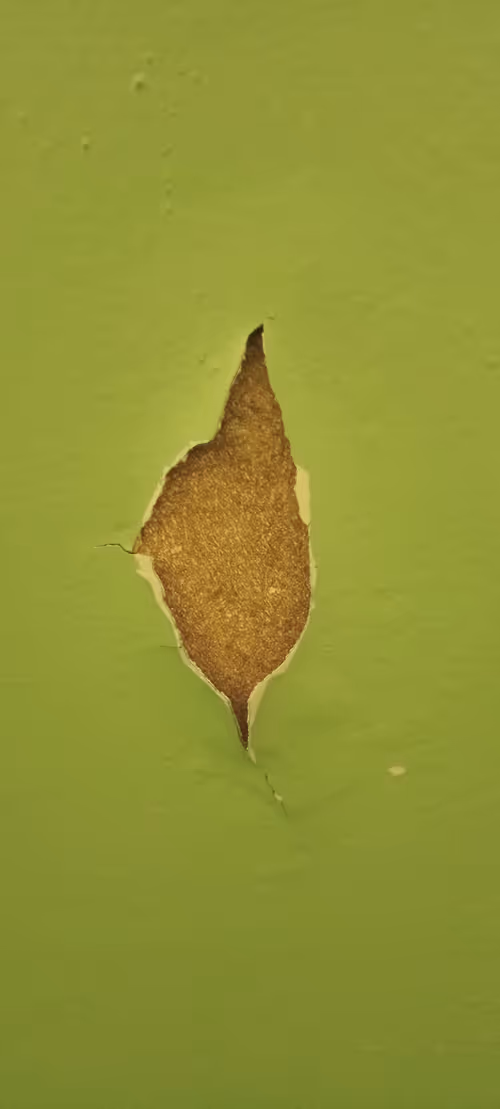 Item #57640666158596785763423701439979309821180739953164217894779325100547985375233 Media