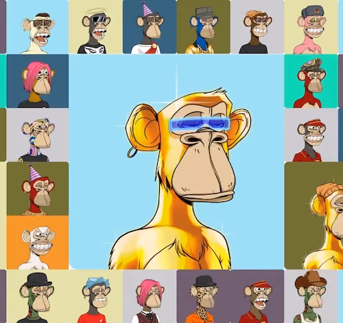 Bored Ape Authentique Xxx