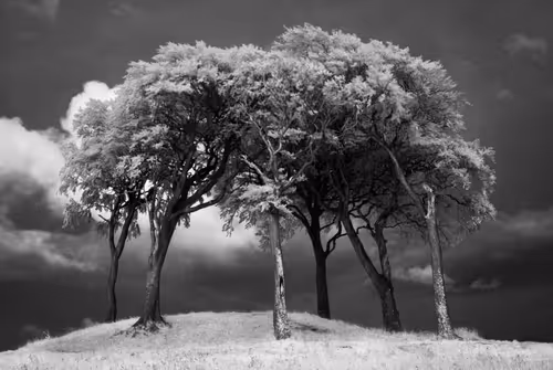 Item #105424874580272350249353180101820695324338341917620358577696675058615098277889 Media