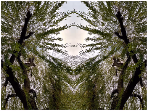 Item #39842122399831876294969041227459341578040195517803177153867578405533924720641 Media