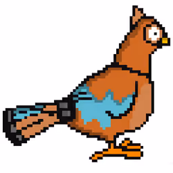 OWL PIGEON #09