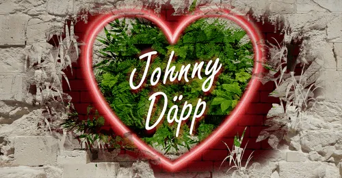 Item #68053287575525751288269231675427811746861684968250582901590729418810299777025 Media