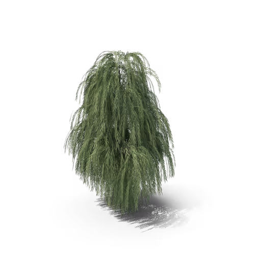 Item #36557224033069565400419298715916611442711242076290286007895566348101565284353 Media