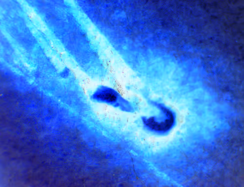 Item #71646257518770613568983710813551014237803002136866425209291834326460749840385 Media