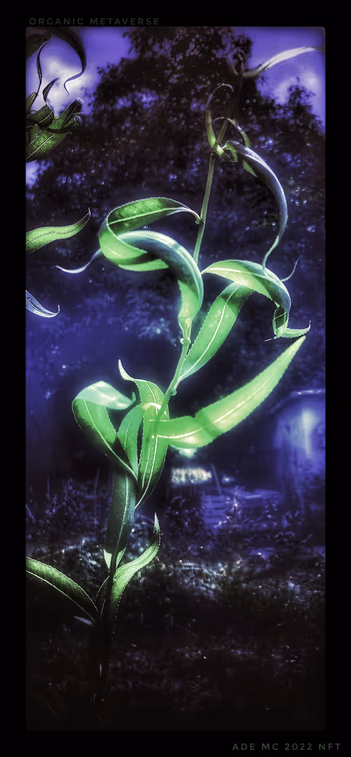 Item #3787080761074609709675817509753112159059746763483256848434353550099826606085 Media