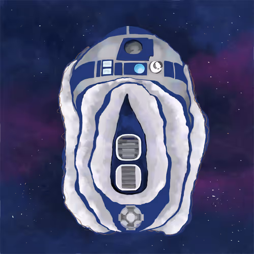 The Vagina Celebration: no 14 - "R2-D2"