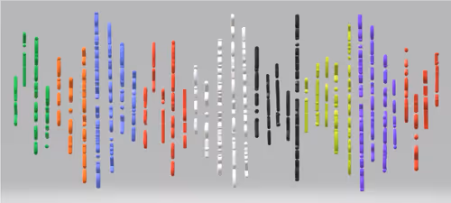 Item #61500798503627041713842577400715075870891589444144298115831229568234121330689 Media