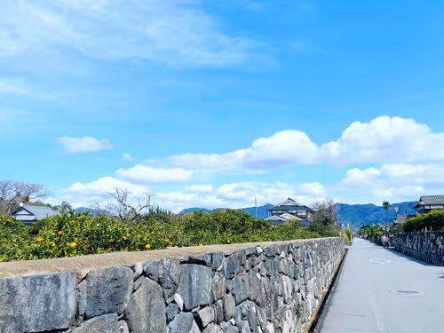 Item #2703142306123291722178089675917082041881281885356297145373661604108174360577 Media