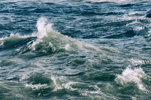 Item #7934769816022171800052371447343848522211670012254116807606386220530994774017 Media