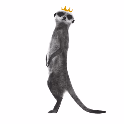 24618594739772325081071012251968077253983773594612099830659053244769359626243