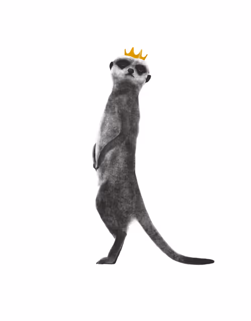 Item #24618594739772325081071012251968077253983773594612099830659053244769359626243 Media