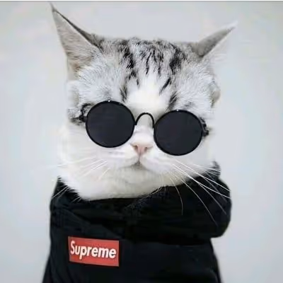 Item #49723913414370728614858912523399532256702643781965611977799560902391705370625 Media