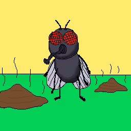 iamredbeard_eth Collection