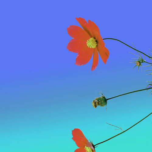 Flowerfarmnft