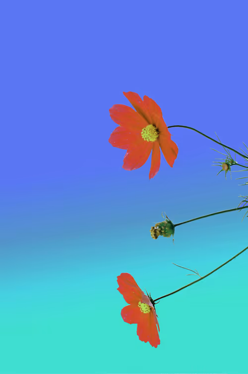 Item #6543125285758794139519418366552479585360659536622126303737984741802336321537 Media