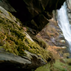 Moss slate