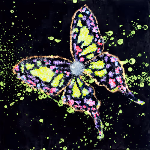 Item #31878015786887625449379653420806268900262982390960709769222713657489813929985 Media