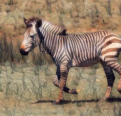 Animal Art V4