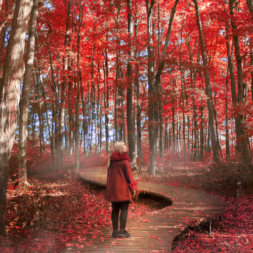 Fall Diaries CIhymdgfcp
