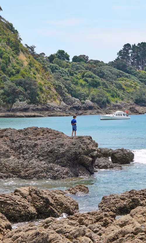 Item #60998420727018390083984096453884096128162625379406694824409400111129629294593 Media