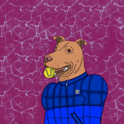 56207060566857878026370727863859684632746074952532842293882533480610079440897