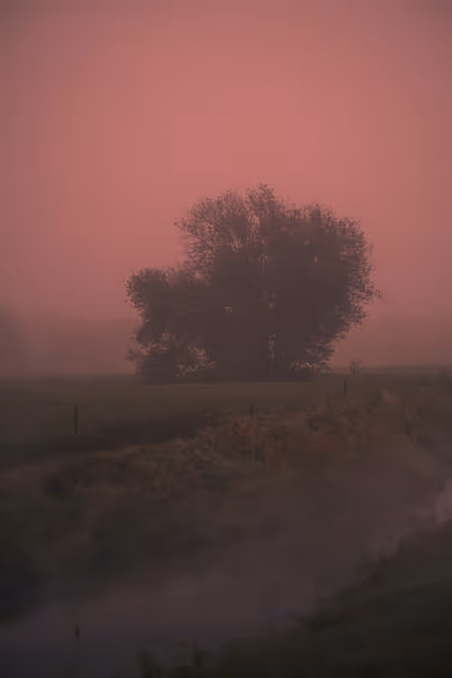 Item #7581964661100107173749376579039867082719166114618432441260469994943621890049 Media