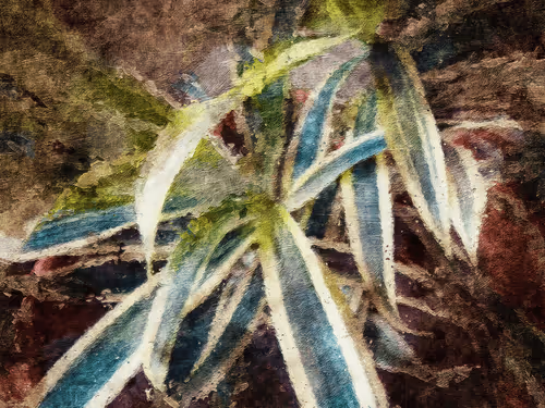 Item #69261177602478584146078213691104273677815526894191982293268527981587186319361 Media