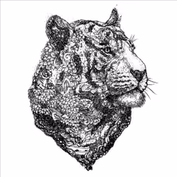 TIGER #003