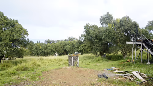 Item #111384347419130010131898734196272882001680551158239169533315207267988365377537 Media