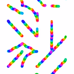 38441269529530760174436903279067870552302020082136112054512560654113319157761