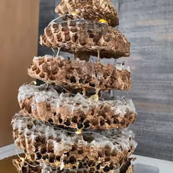 real honeycomb