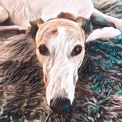 113233535435930126246803406212525192330824104616936385021501681199013502648321