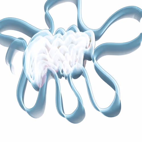 Item #93780919874639963794053430560820856568833509252098614288113507708628226801665 Media